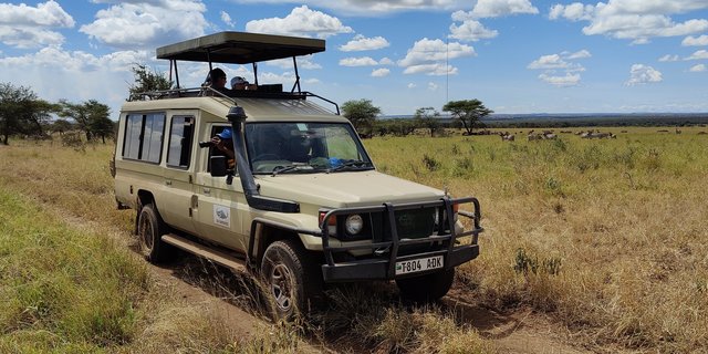 CK EXPEDICE: safari – vozidlo