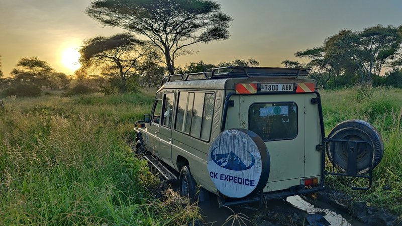 Safari Tanzanie únor 2025